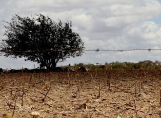 Paraíba tem 146 municípios em situação de emergência por desastres naturais