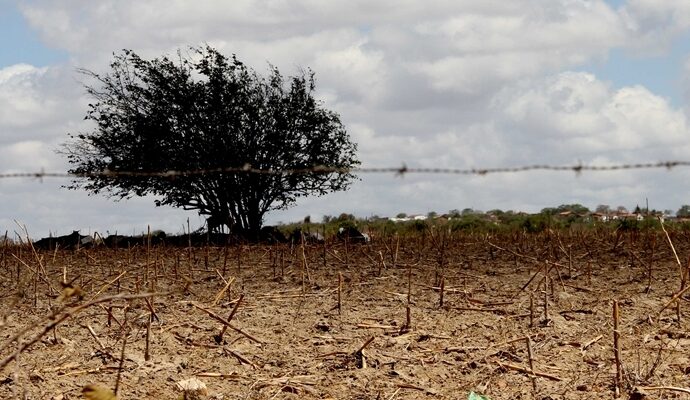Paraíba tem 146 municípios em situação de emergência por desastres naturais