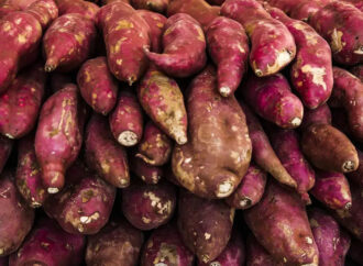 saiba alguns benefícios da batata-doce