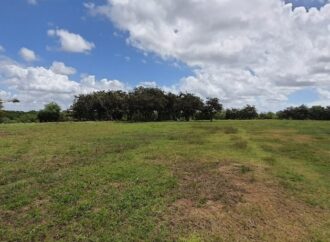 após paralisar obra, Prefeitura apresenta defesa ao TCE de contrato milionário