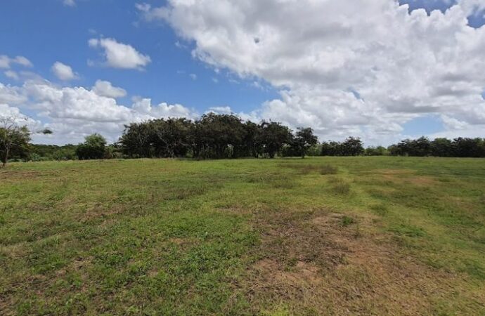 após paralisar obra, Prefeitura apresenta defesa ao TCE de contrato milionário