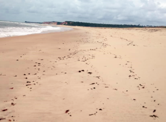 Três praias da Paraíba estão com trechos poluídos neste fim de semana