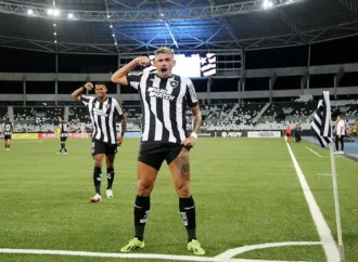 No Botafogo-RJ, Tiquinho Soares busca reencontro com melhor momento da carreira