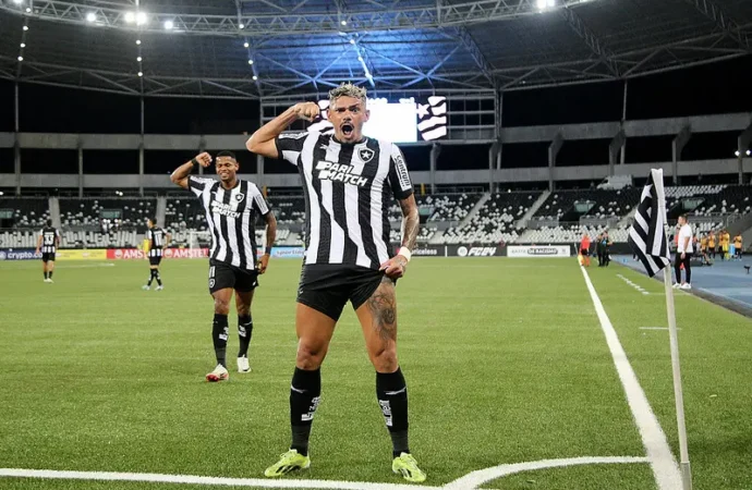 No Botafogo-RJ, Tiquinho Soares busca reencontro com melhor momento da carreira 