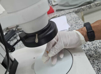 como insetos ajudam a solucionar crimes reais no Brasil