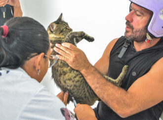 Veja recomendações para o Dia D de Vacinação Antirrábica Animal em João Pessoa