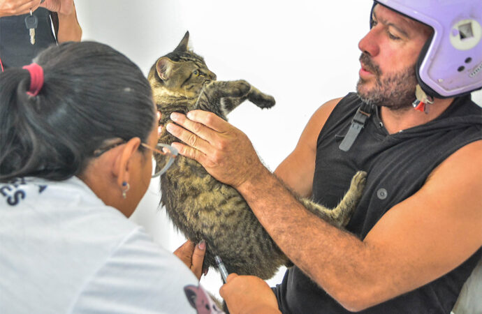 Veja recomendações para o Dia D de Vacinação Antirrábica Animal em João Pessoa