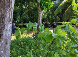 Corpo de jovem é encontrado em região de mata, em João Pessoa