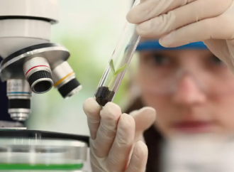 Prêmio para mulheres e meninas cientistas abre inscrições até outubro