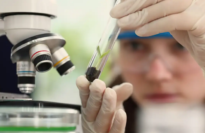 Prêmio para mulheres e meninas cientistas abre inscrições até outubro